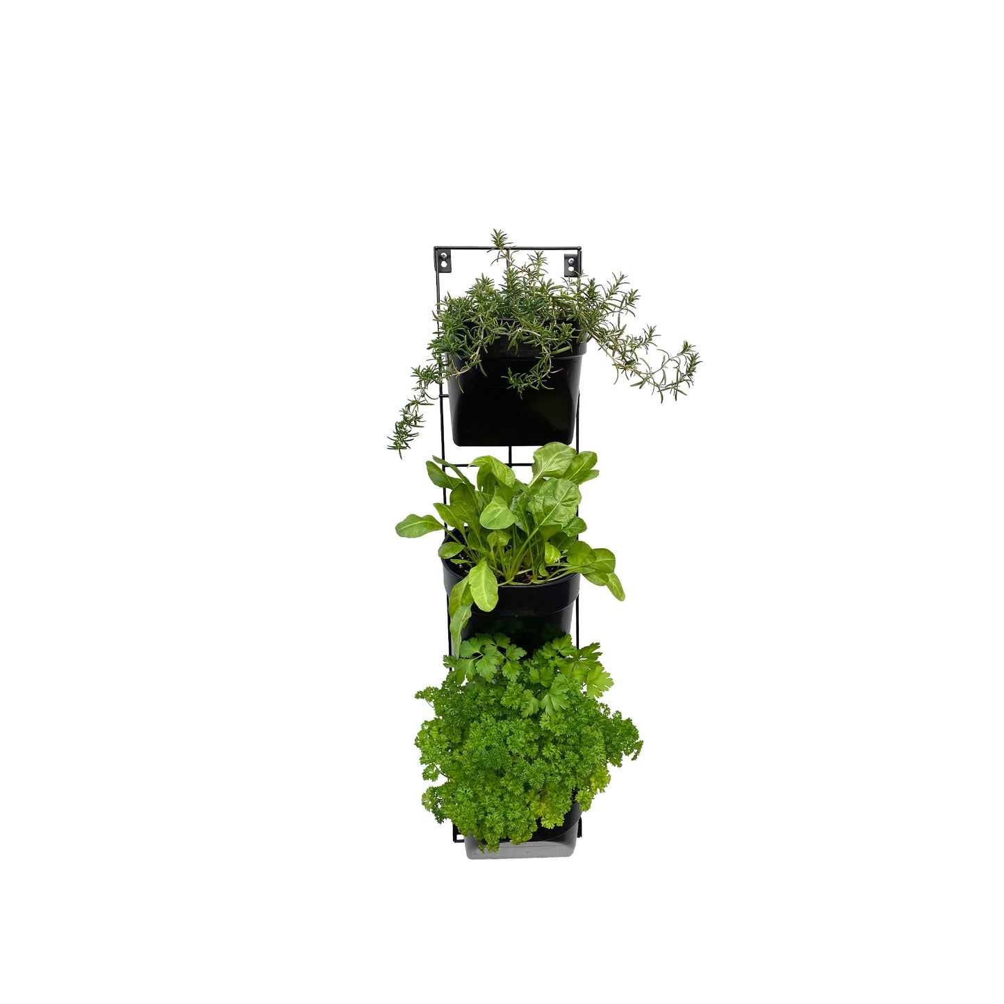 200×900mm Easy-Fit vertical garden kit (small)
